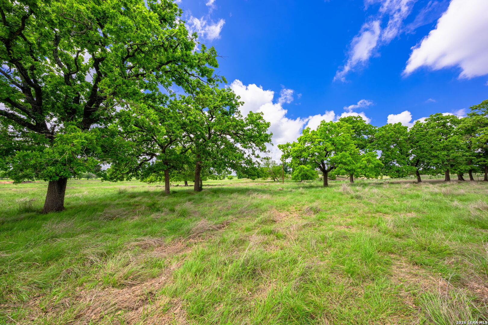 19415 Fm 2093 Harper TX 78631