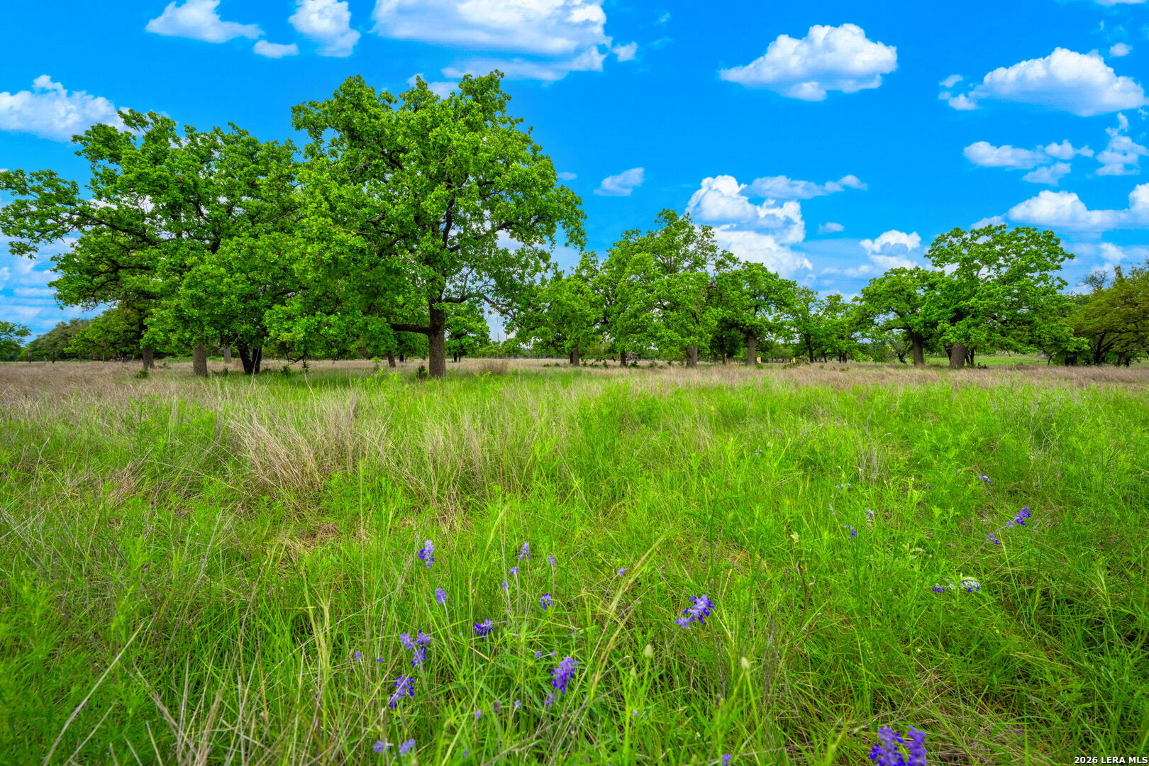 19415 Fm 2093 Harper TX 78631