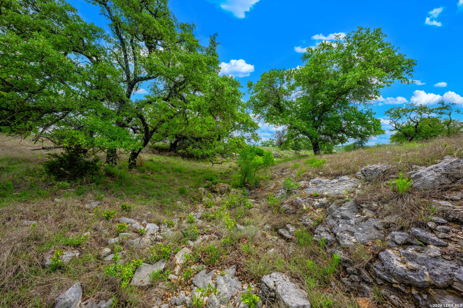 19415 Fm 2093 Harper TX 78631