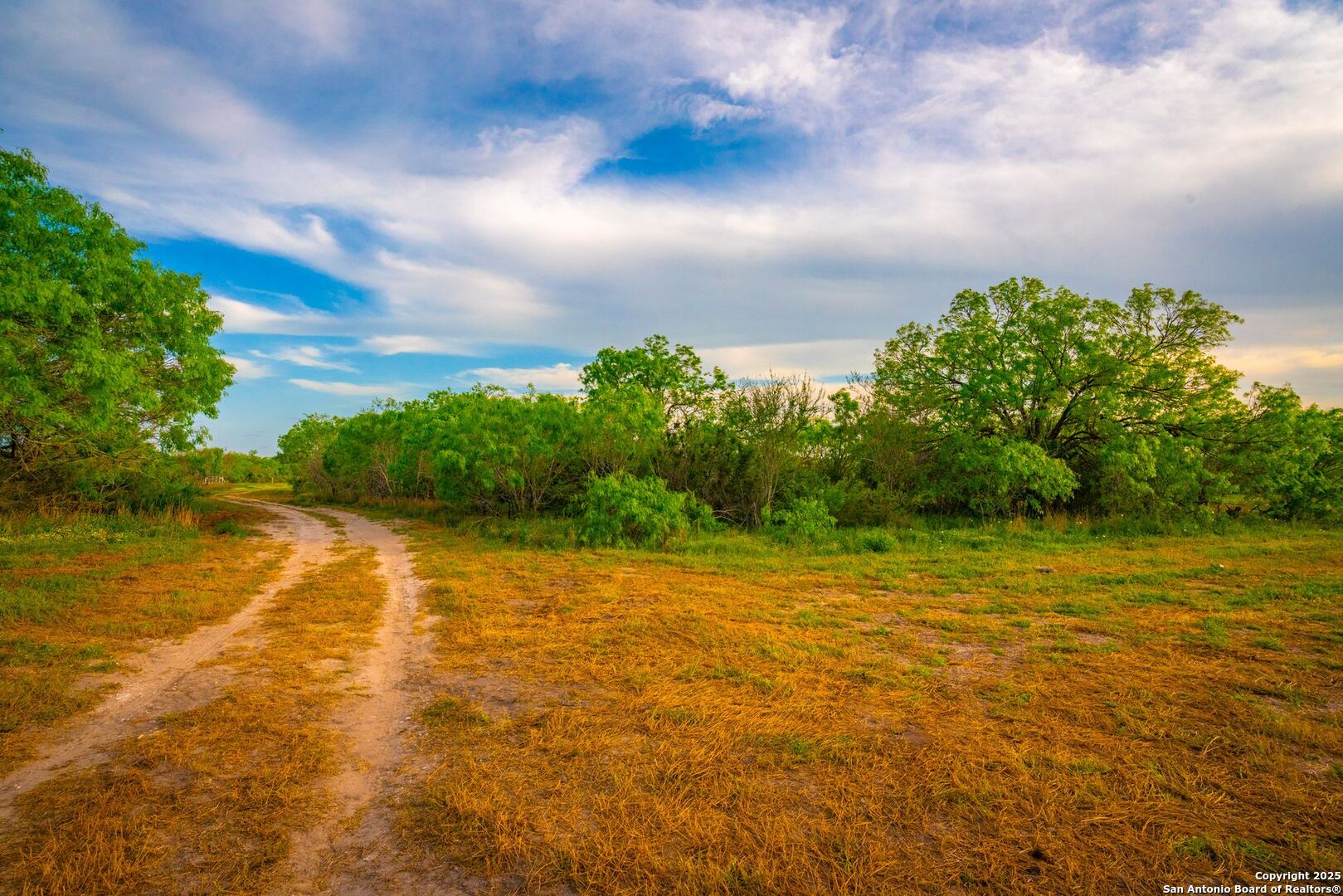 3305 Cr 129 Pawnee TX 78119