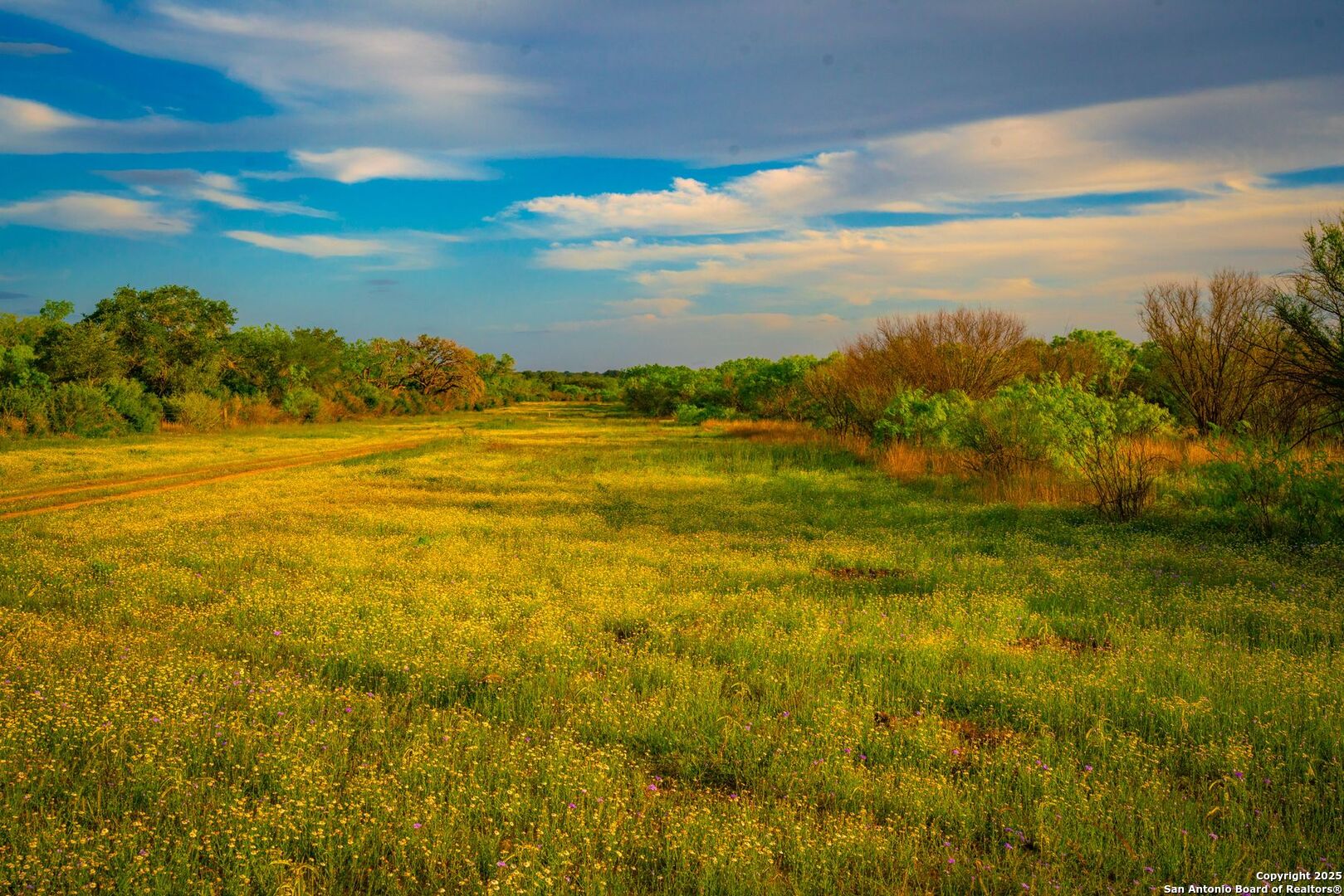 3305 Cr 129 Pawnee TX 78119