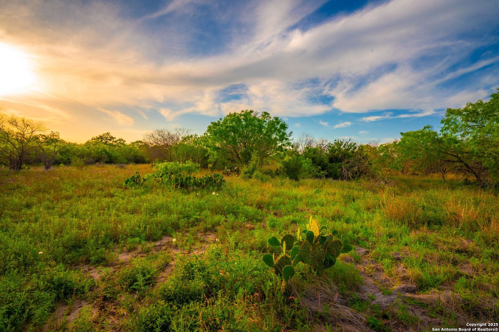 3305 Cr 129 Pawnee TX 78119