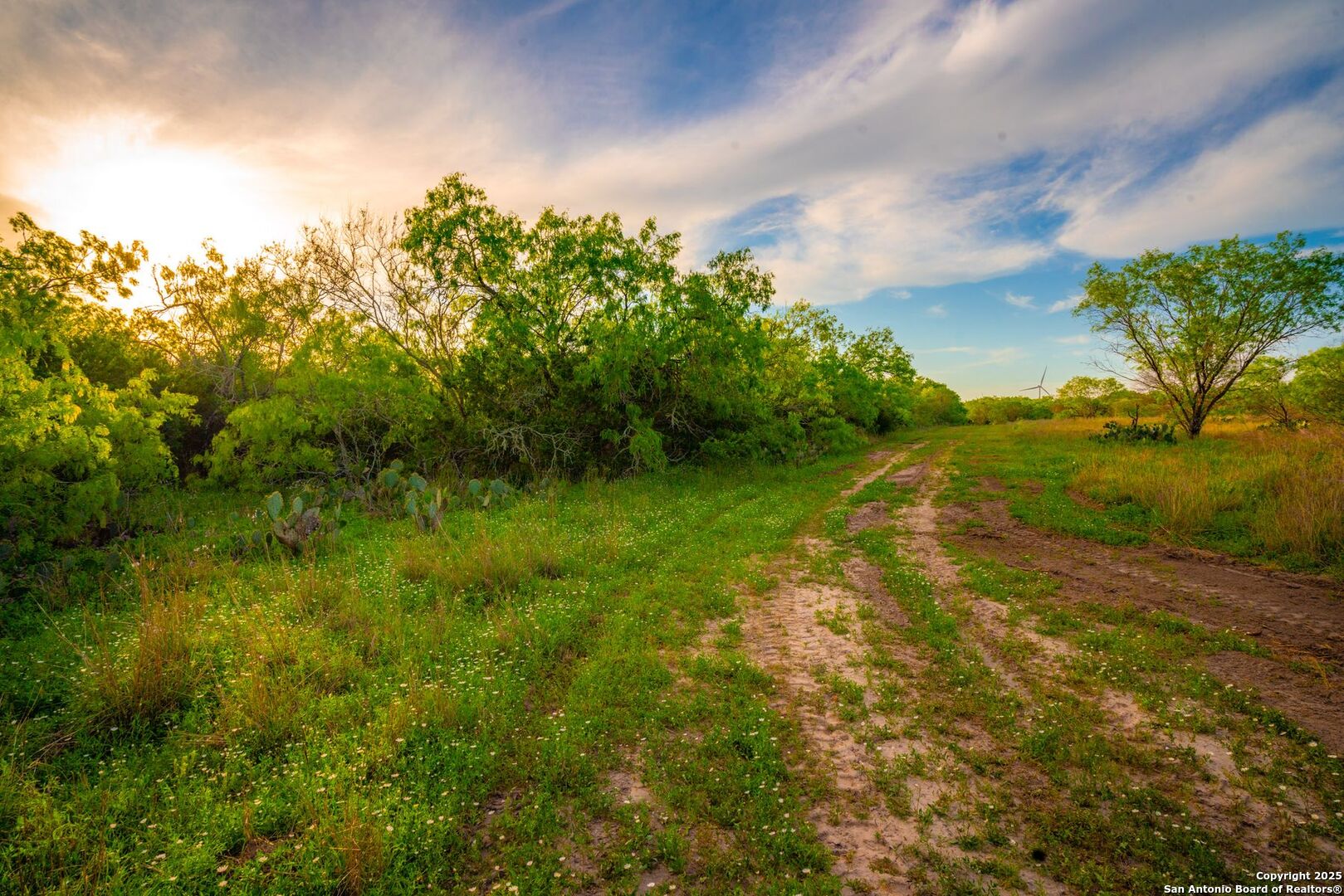 3305 Cr 129 Pawnee TX 78119