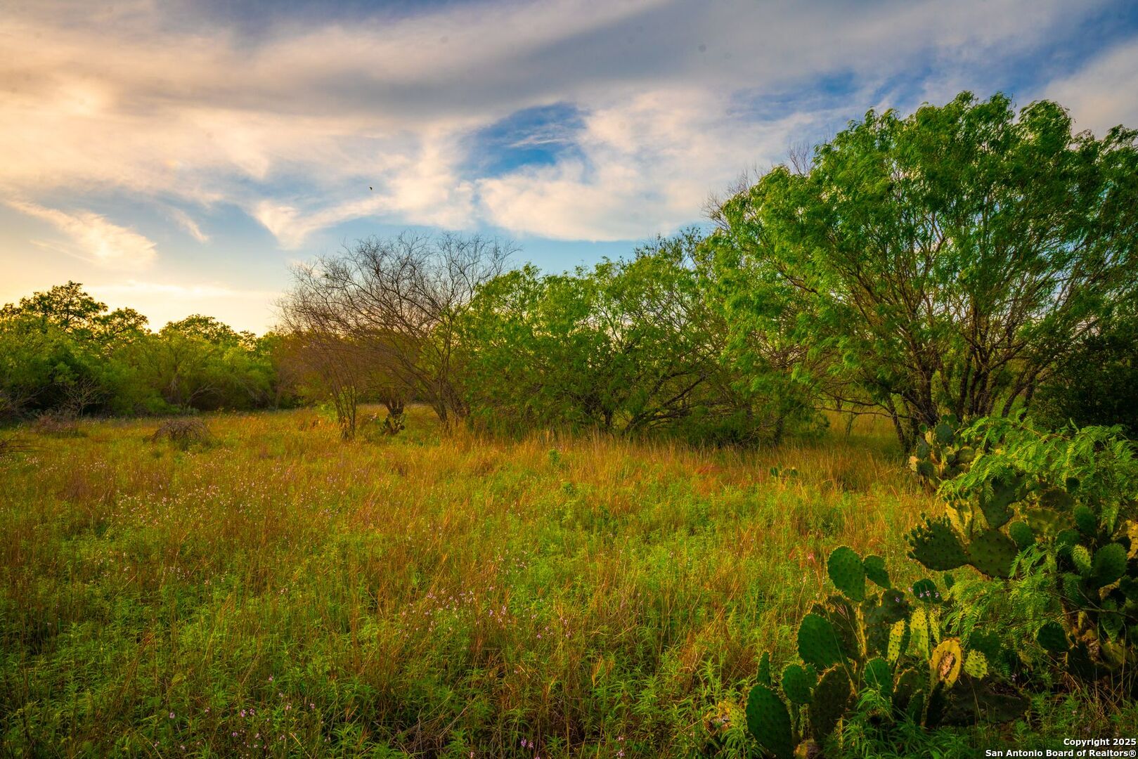3305 Cr 129 Pawnee TX 78119