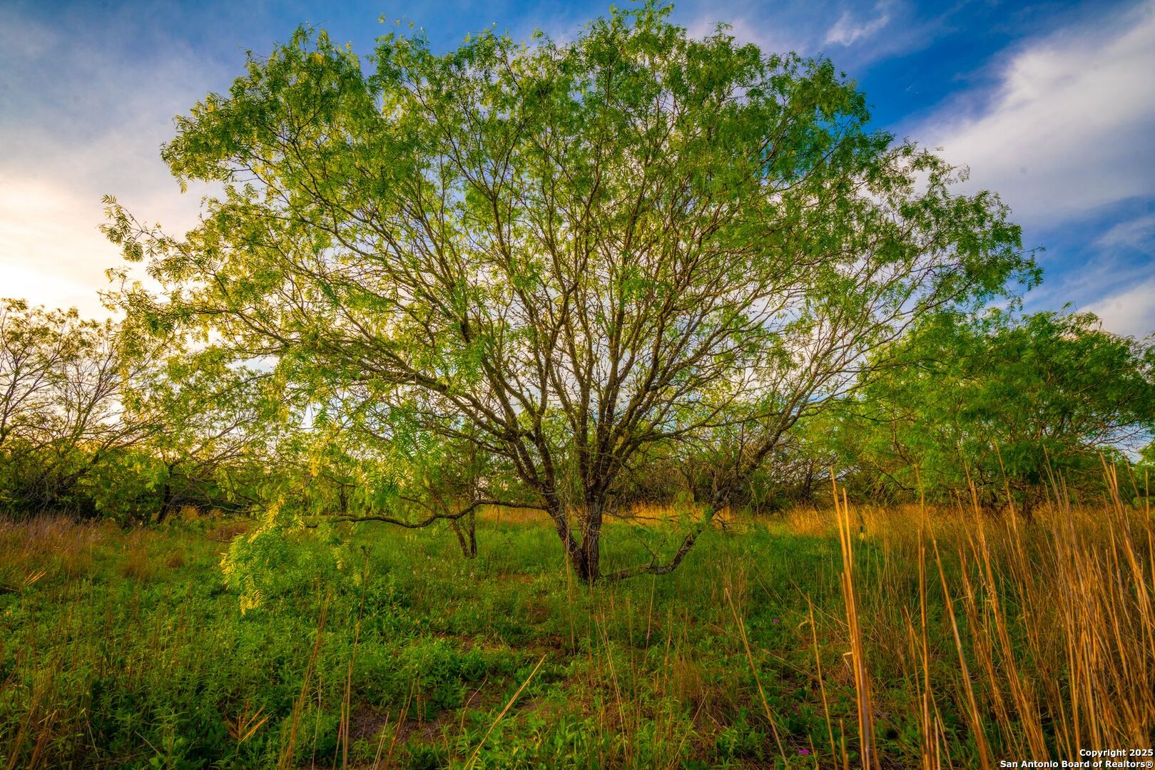 3305 Cr 129 Pawnee TX 78119