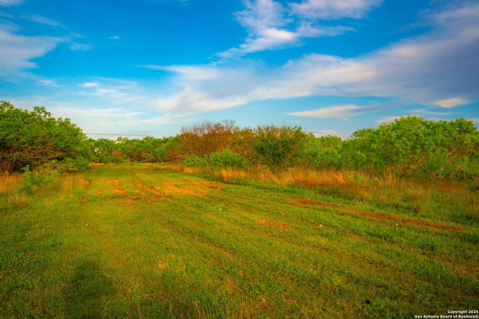 3305 Cr 129 Pawnee TX 78119