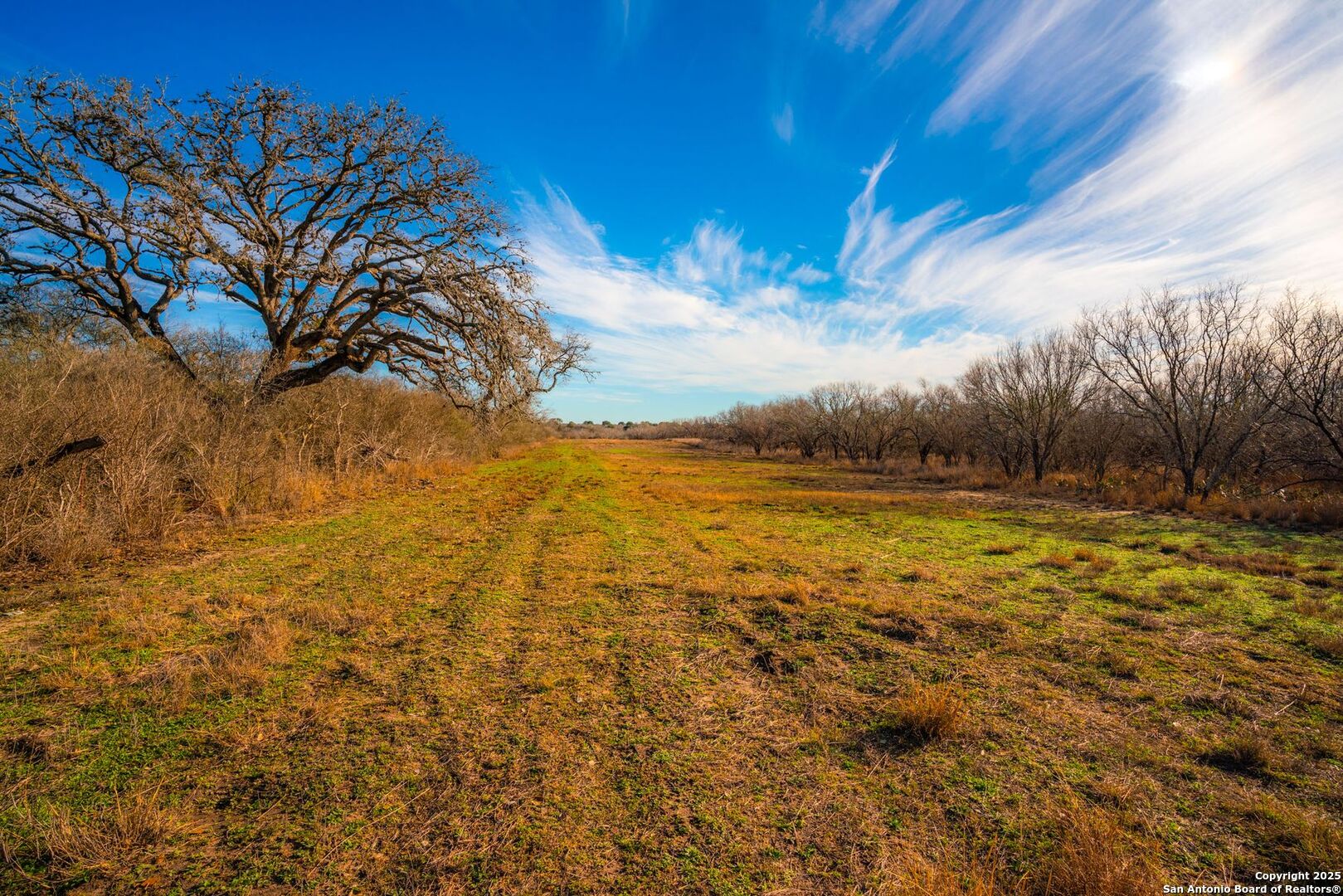 3305 Cr 129 Pawnee TX 78119