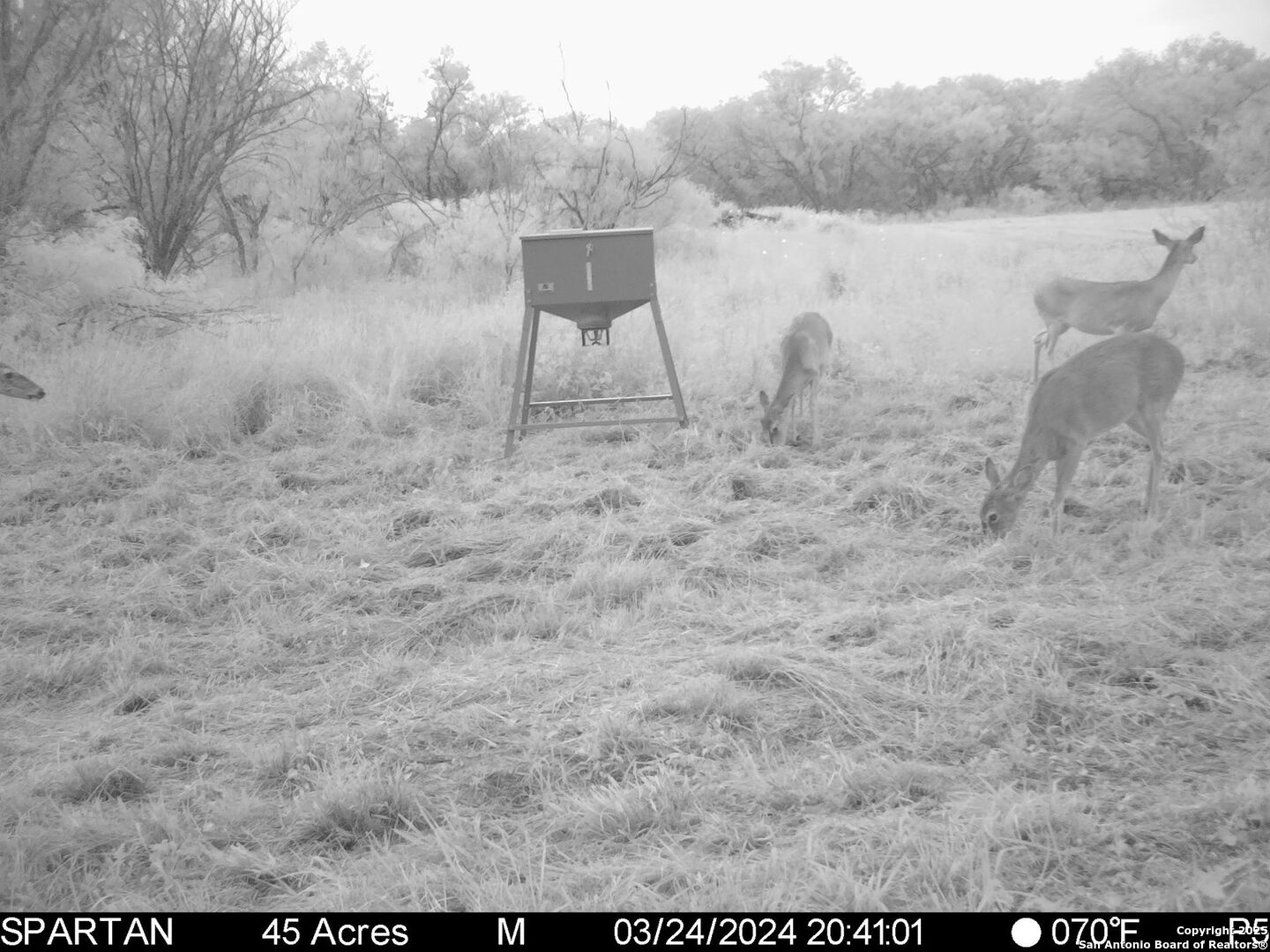 3305 Cr 129 Pawnee TX 78119