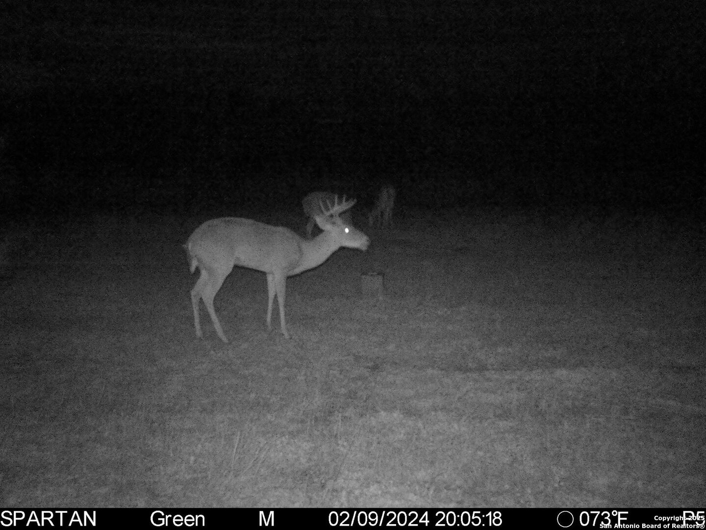 3305 Cr 129 Pawnee TX 78119