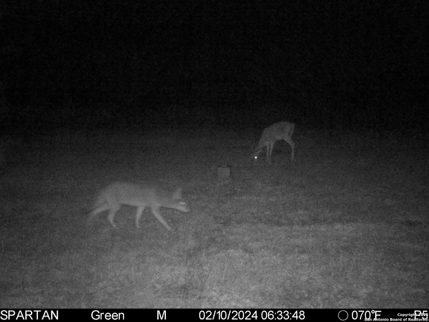 3305 Cr 129 Pawnee TX 78119
