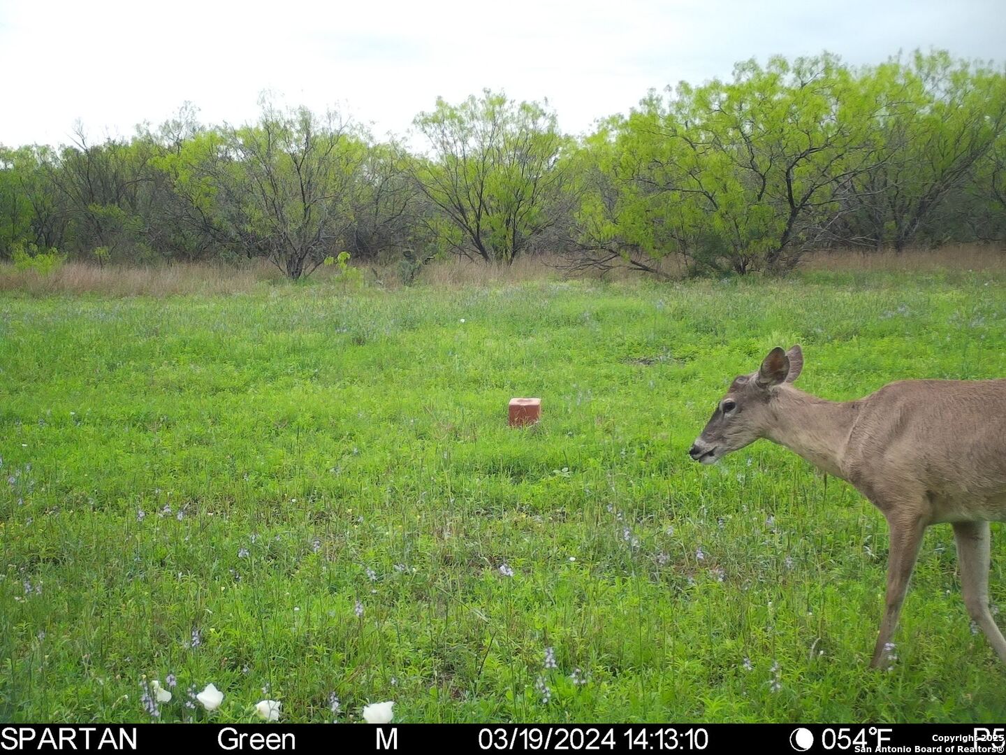 3305 Cr 129 Pawnee TX 78119