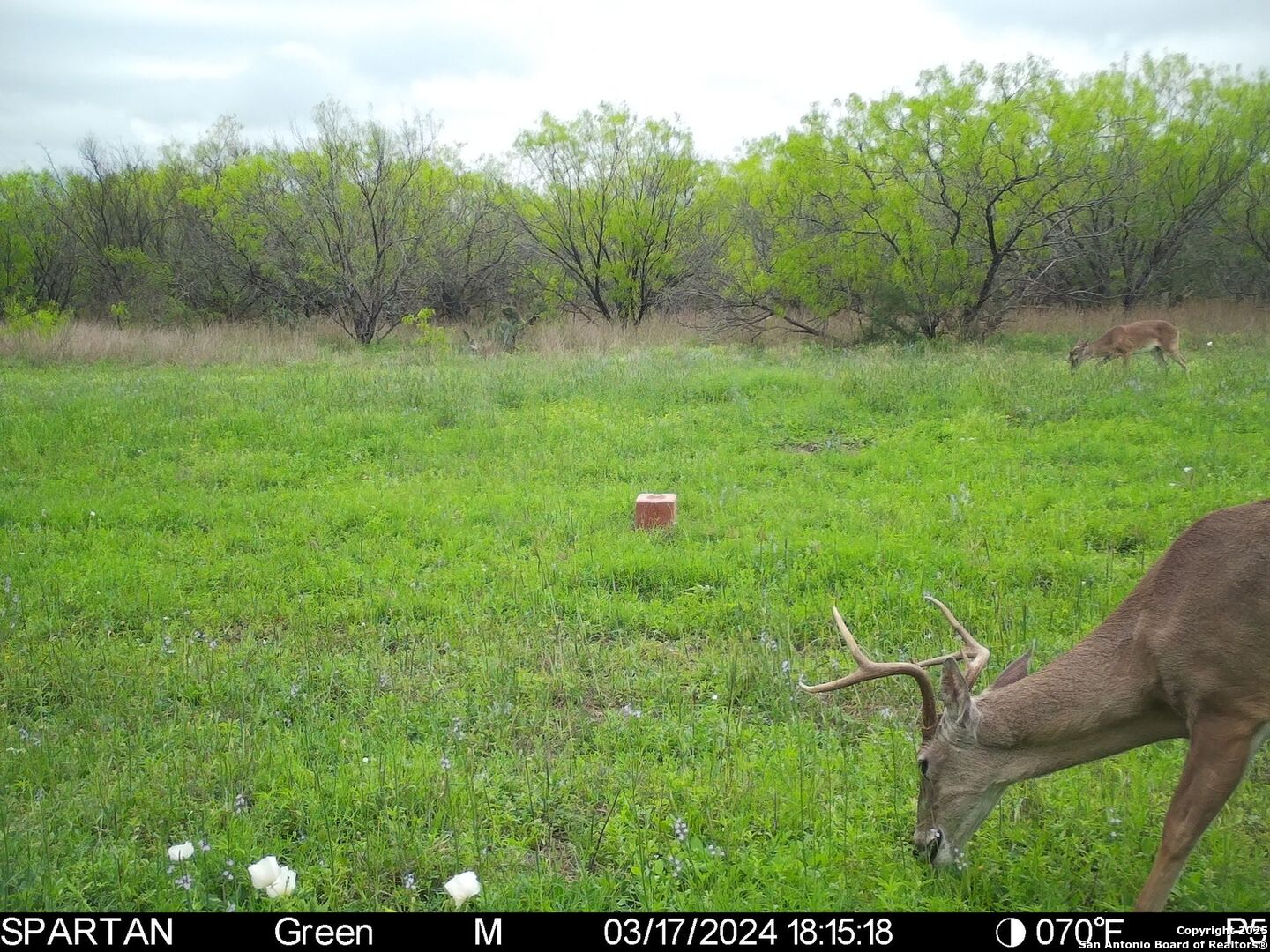 3305 Cr 129 Pawnee TX 78119