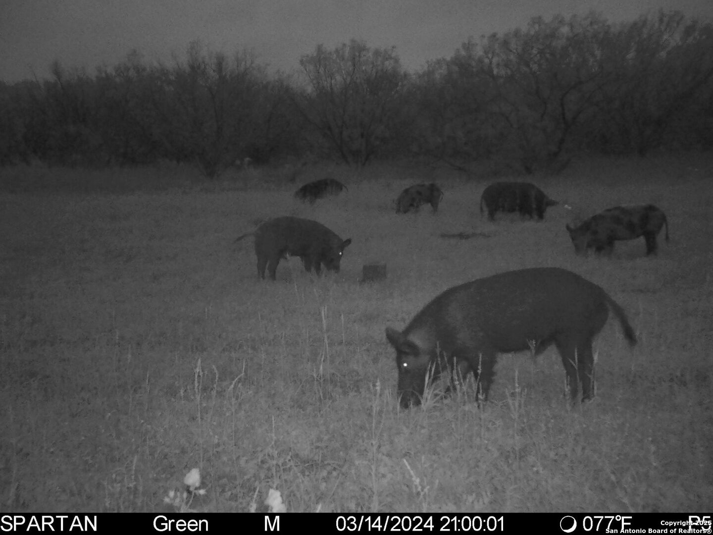 3305 Cr 129 Pawnee TX 78119