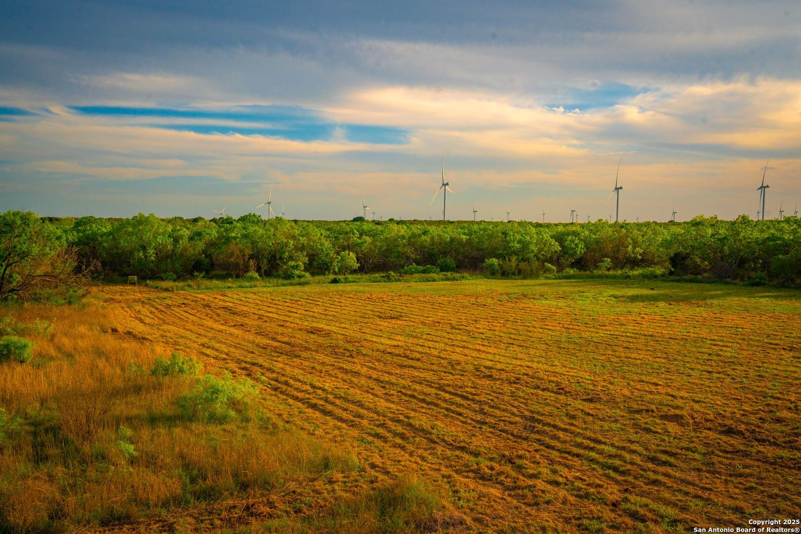 3305 Cr 129 Pawnee TX 78119