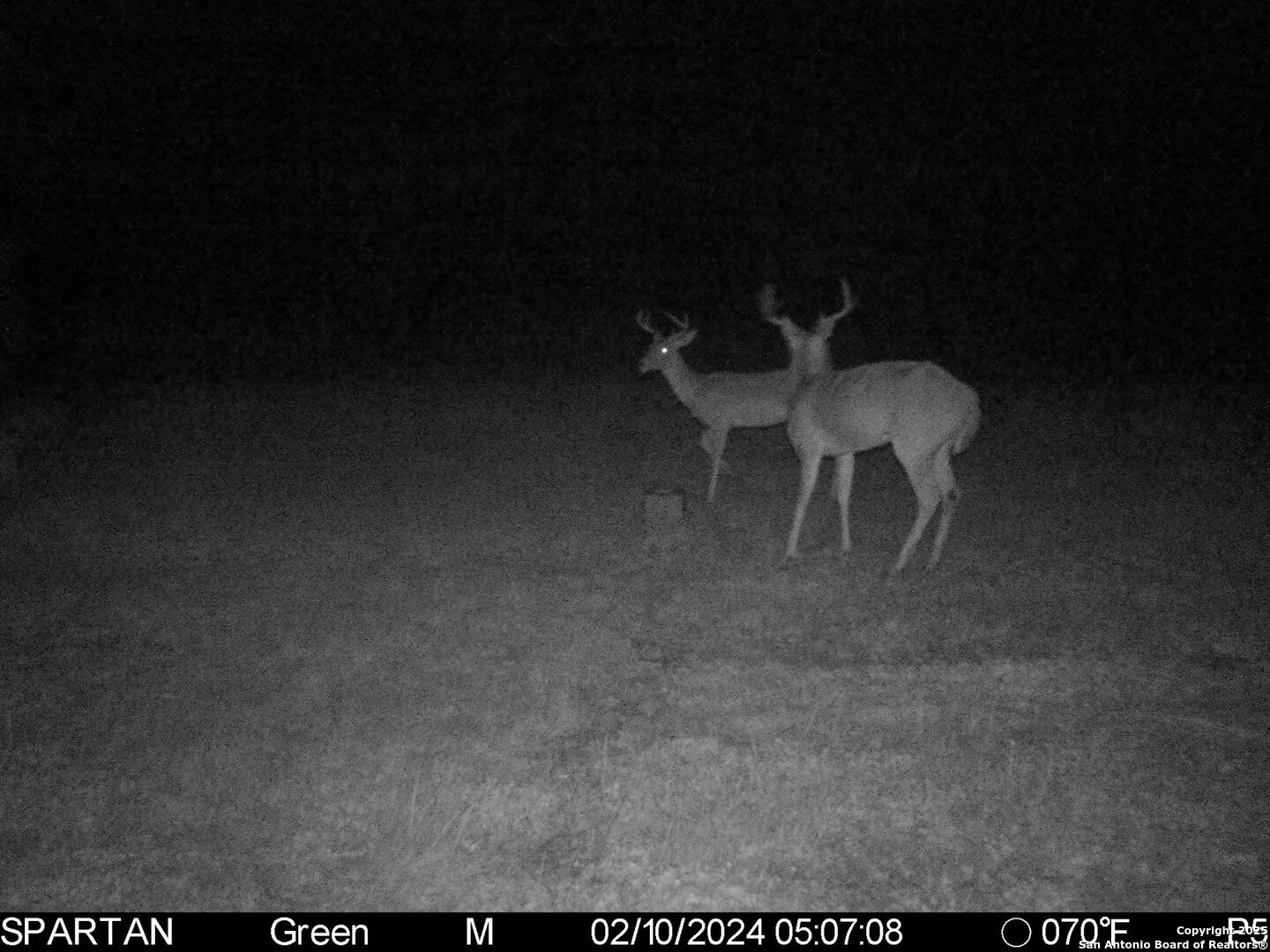 3305 Cr 129 Pawnee TX 78119