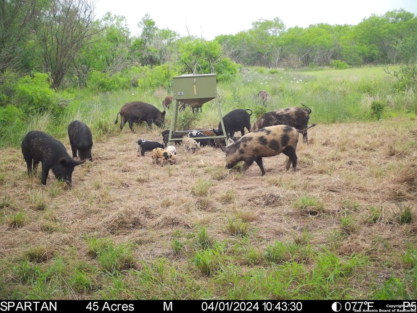 3305 Cr 129 Pawnee TX 78119