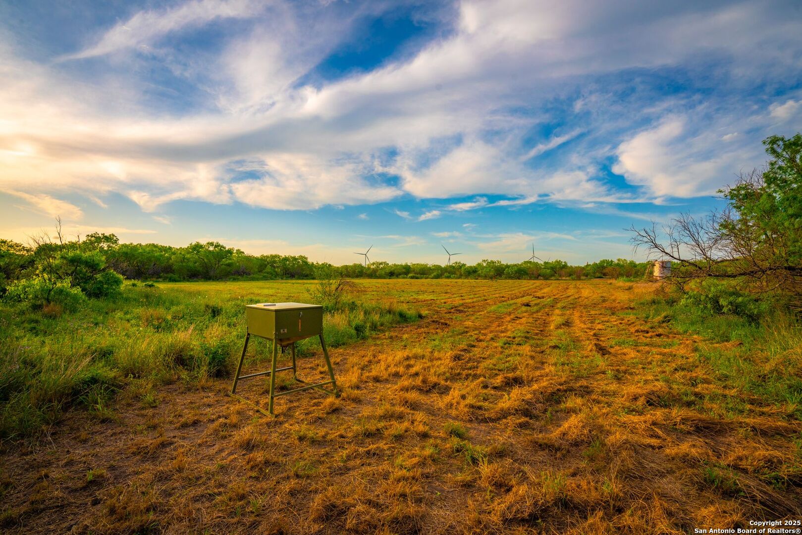 3305 Cr 129 Pawnee TX 78119