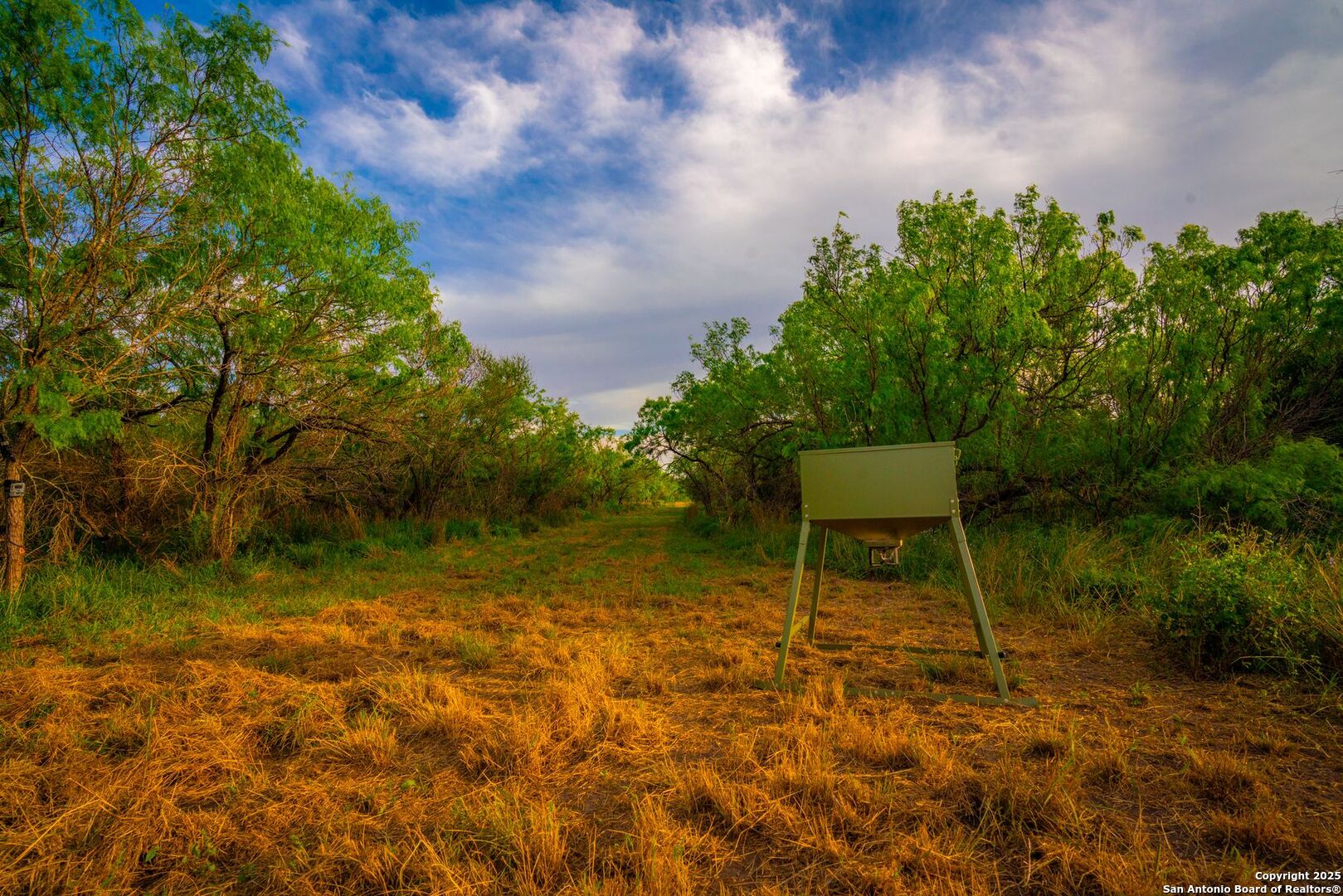 3305 Cr 129 Pawnee TX 78119