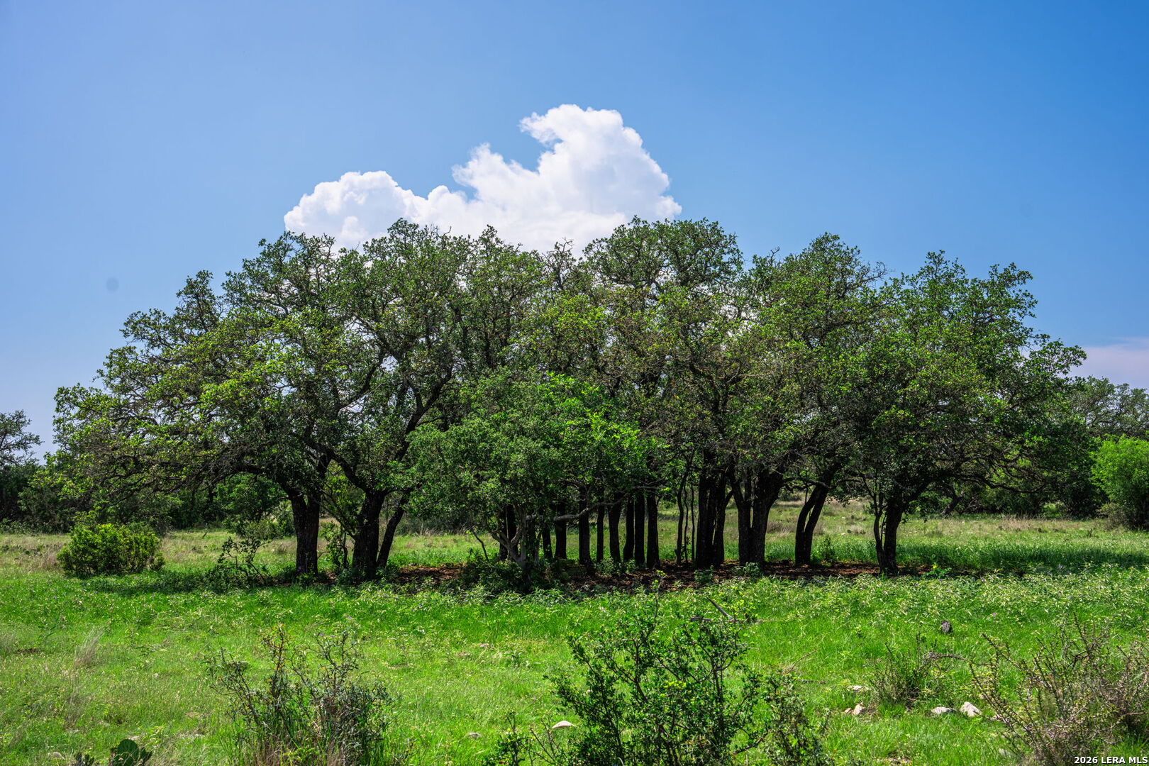 850 Sd 24755 Rocksprings TX 78880