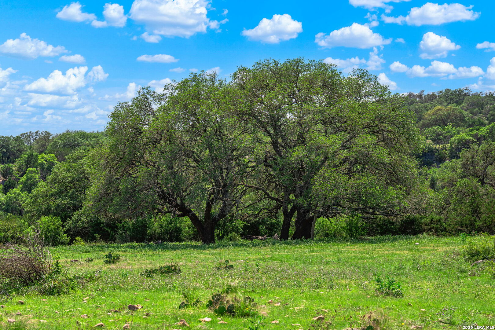 850 Sd 24755 Rocksprings TX 78880