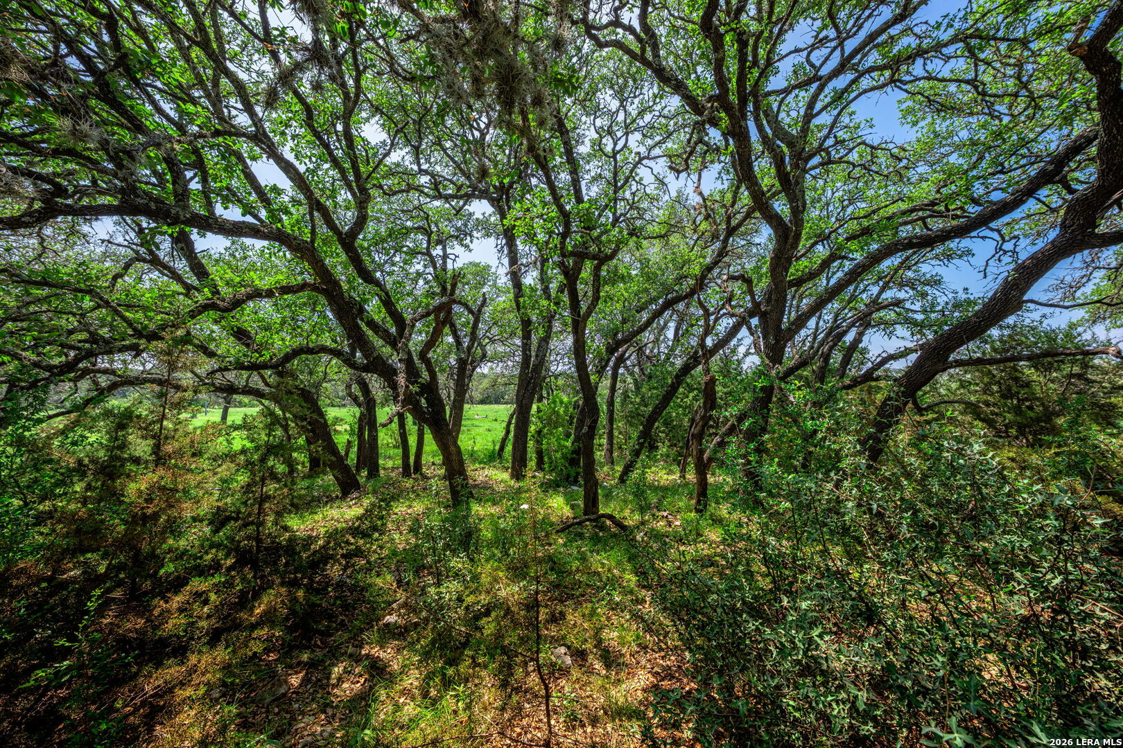 850 Sd 24755 Rocksprings TX 78880