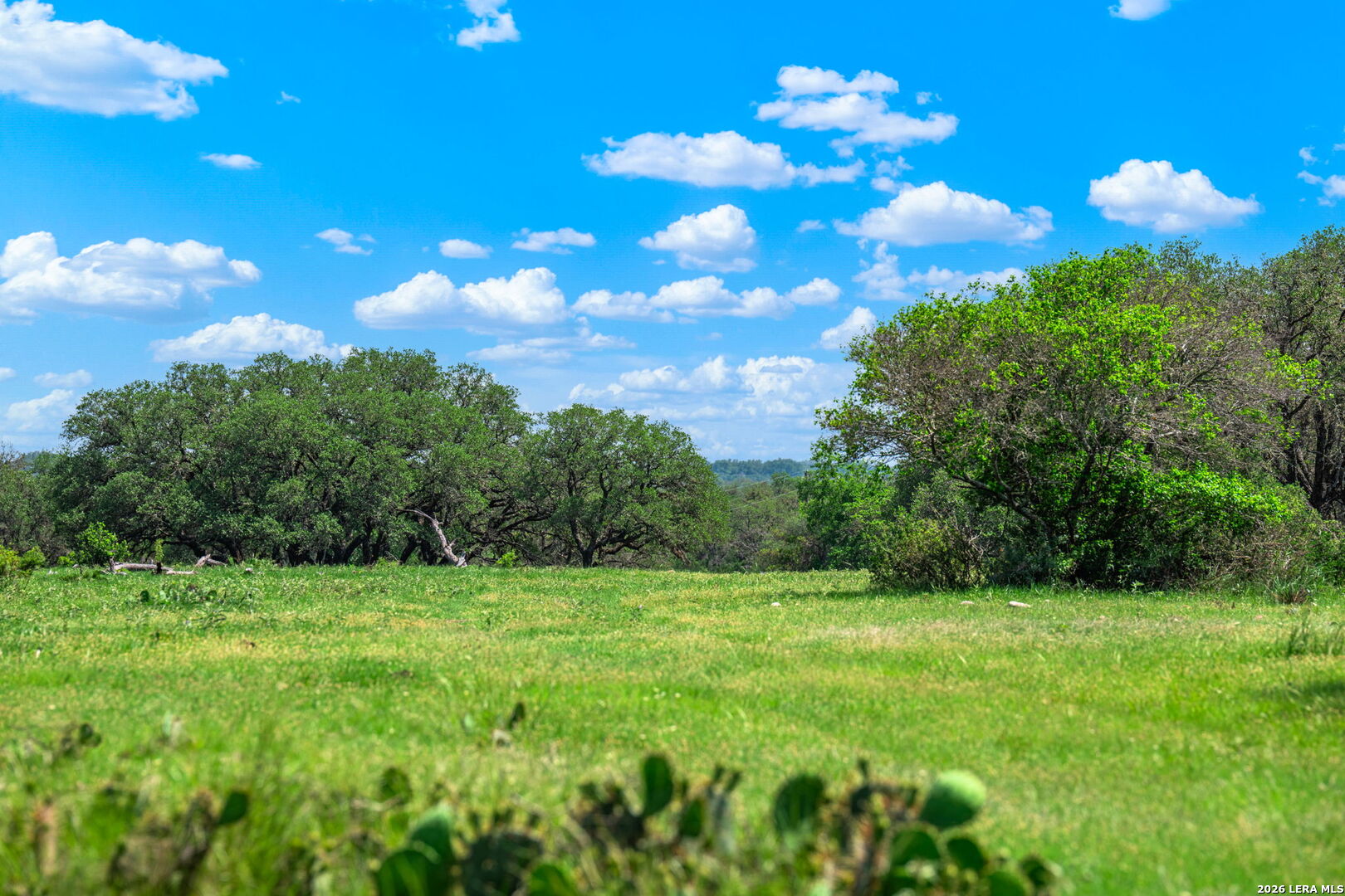 850 Sd 24755 Rocksprings TX 78880