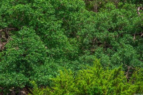 850 Sd 24755 Rocksprings TX 78880