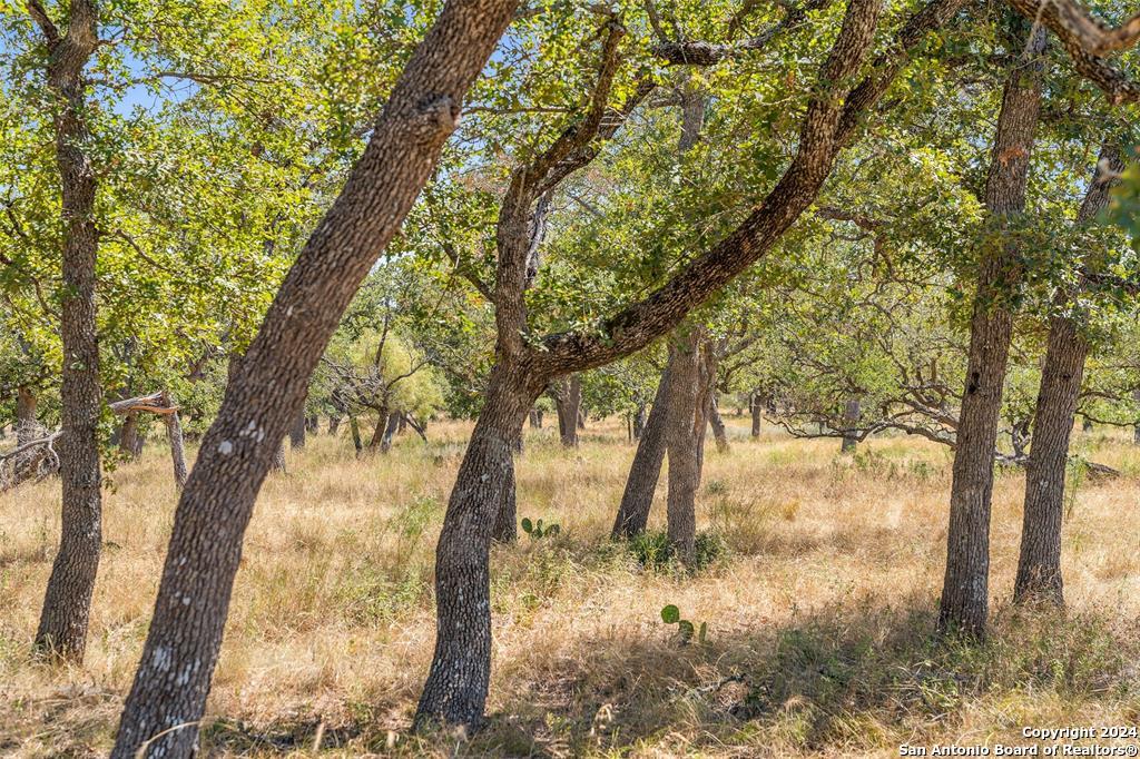 Tbd Herbert-schaefer Fredericksburg TX 78624
