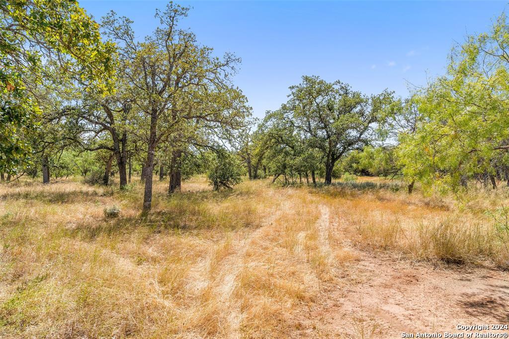 Tbd Herbert-schaefer Fredericksburg TX 78624
