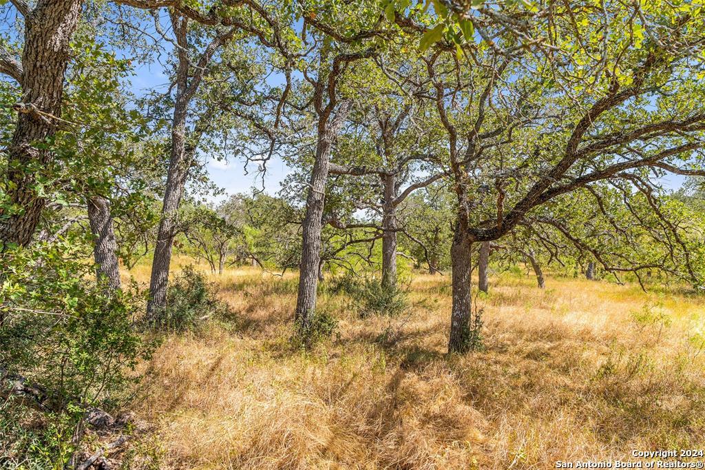 Tbd Herbert-schaefer Fredericksburg TX 78624