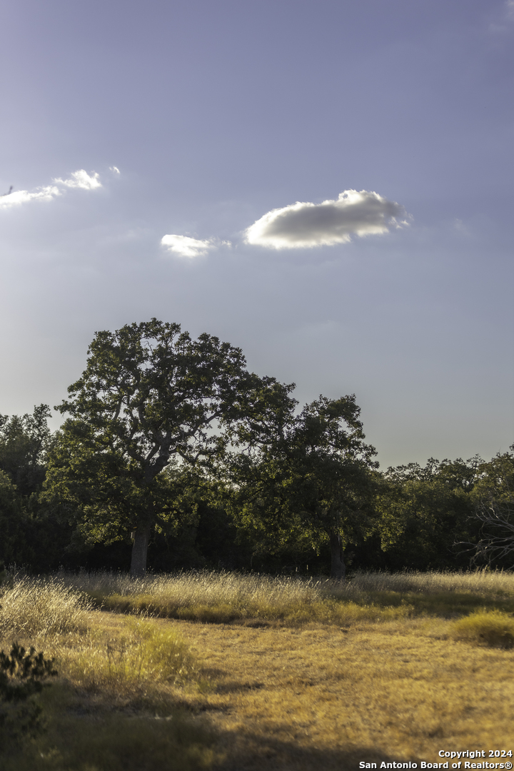 Tbd Herbert-schaefer Fredericksburg TX 78624