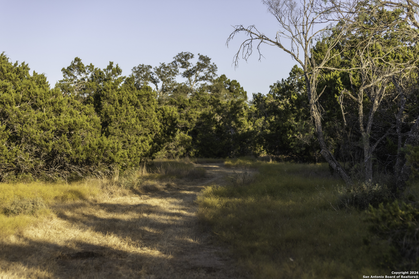 Tbd Herbert-schaefer Fredericksburg TX 78624