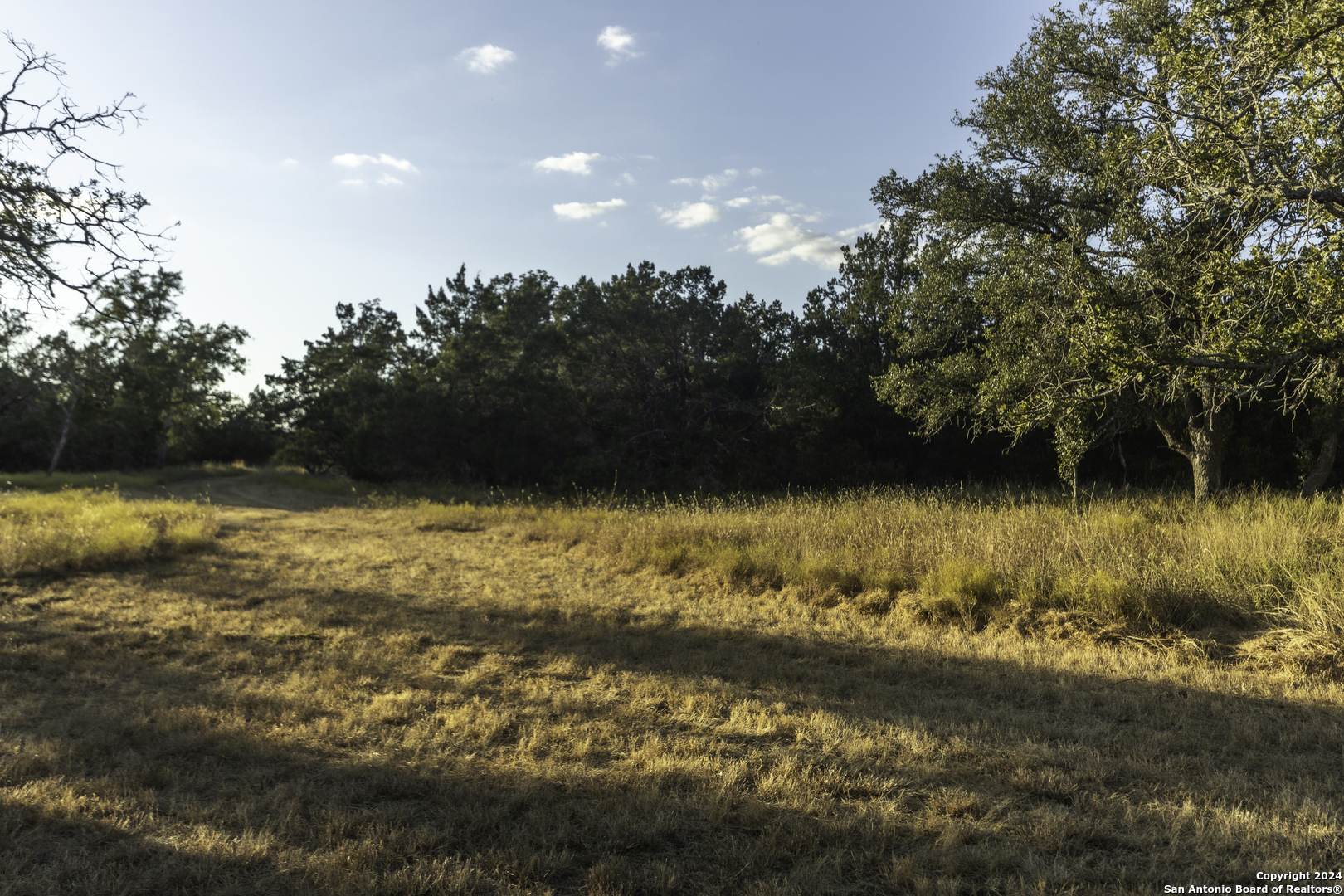 Tbd Herbert-schaefer Fredericksburg TX 78624