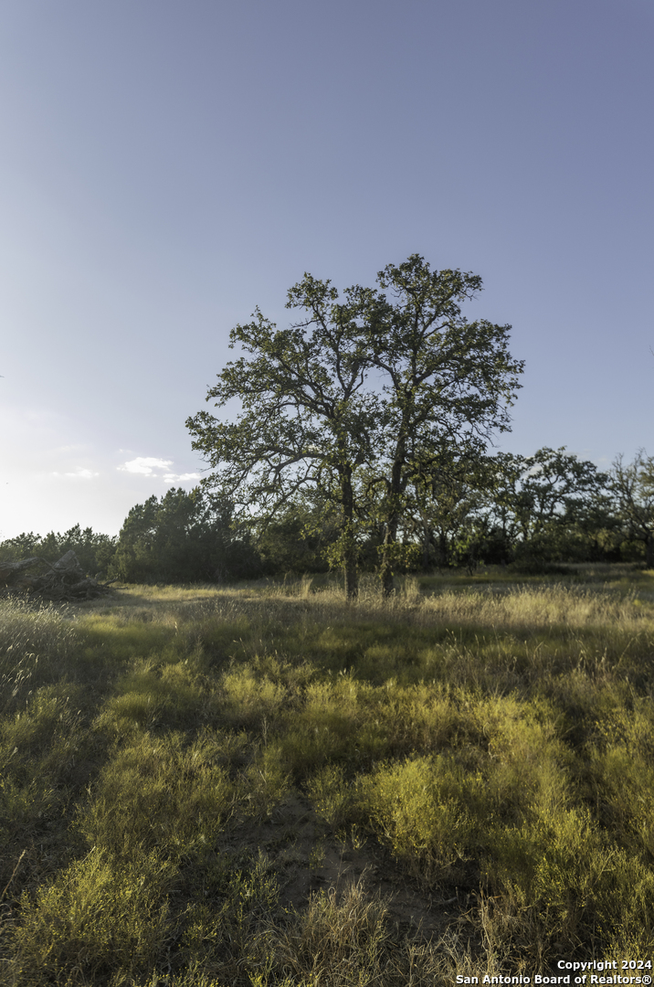 Tbd Herbert-schaefer Fredericksburg TX 78624