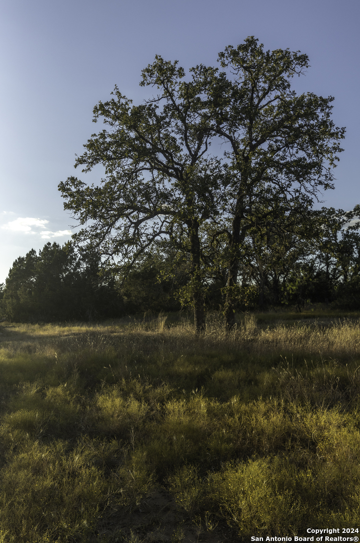 Tbd Herbert-schaefer Fredericksburg TX 78624