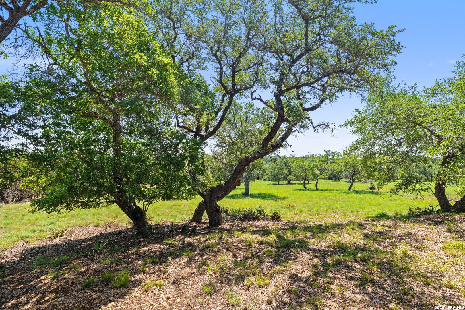 7855 Middle Creek Road Blanco TX 78606
