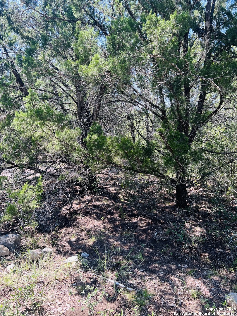 0 Cr 408 Uvalde TX 78801