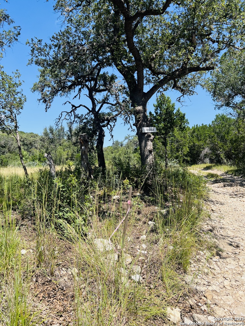 0 Cr 408 Uvalde TX 78801
