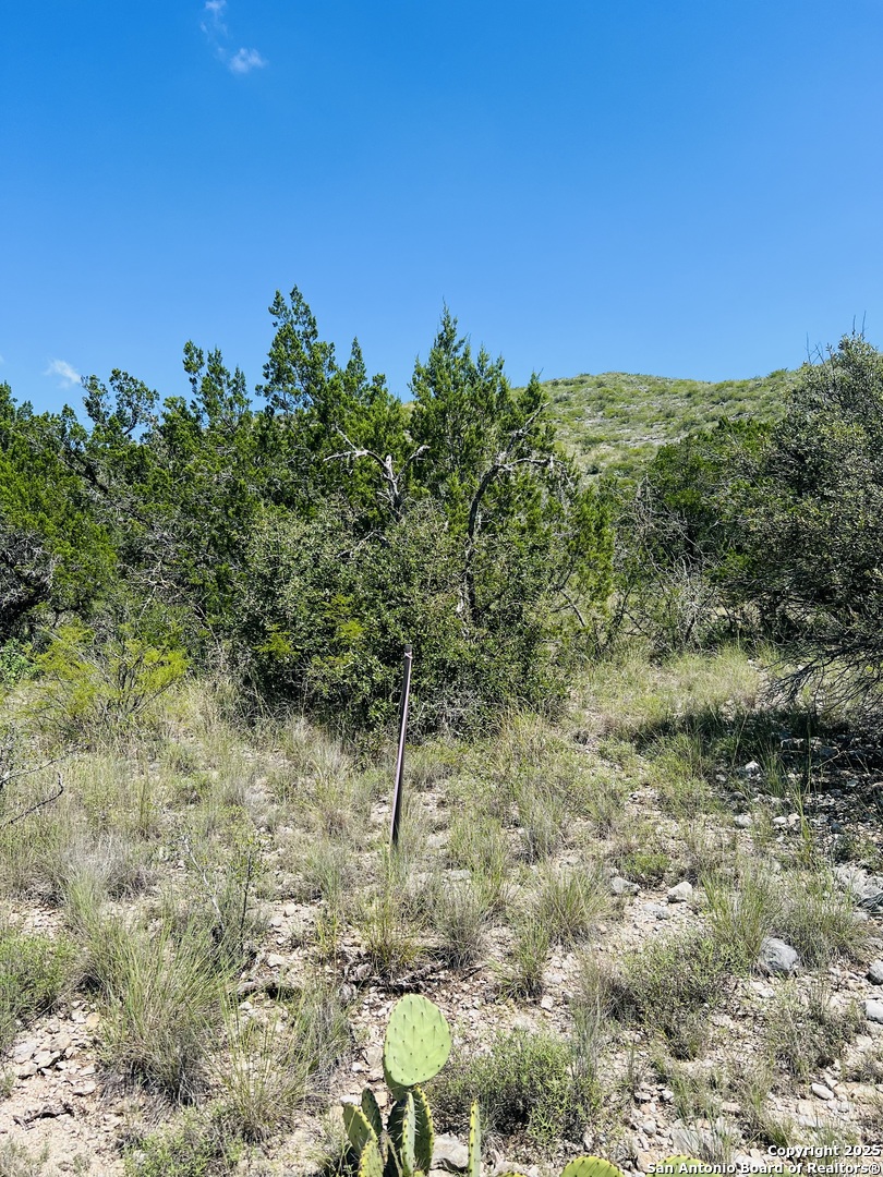 0 Cr 408 Uvalde TX 78801