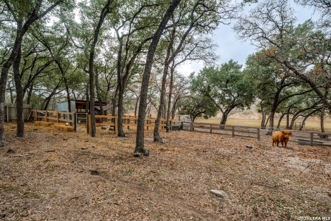 322 Dublin Circle Floresville TX 78114