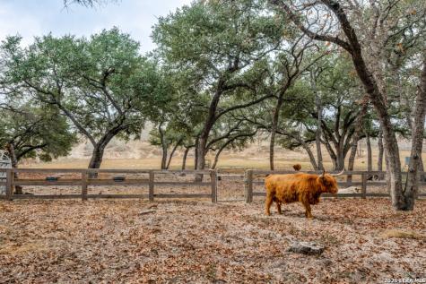 322 Dublin Circle Floresville TX 78114