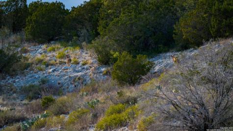 Tbd Us Highway 377 Del Rio TX 78840