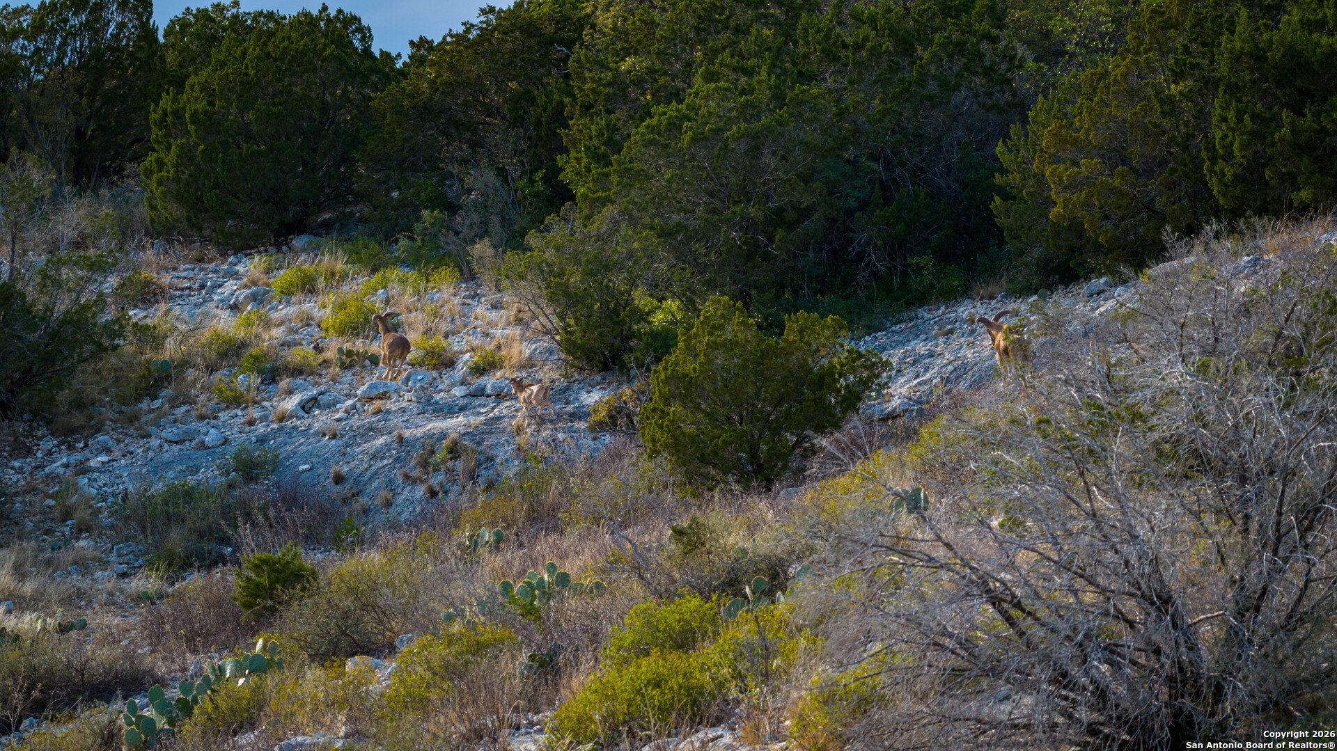 Tbd Us Highway 377 Del Rio TX 78840
