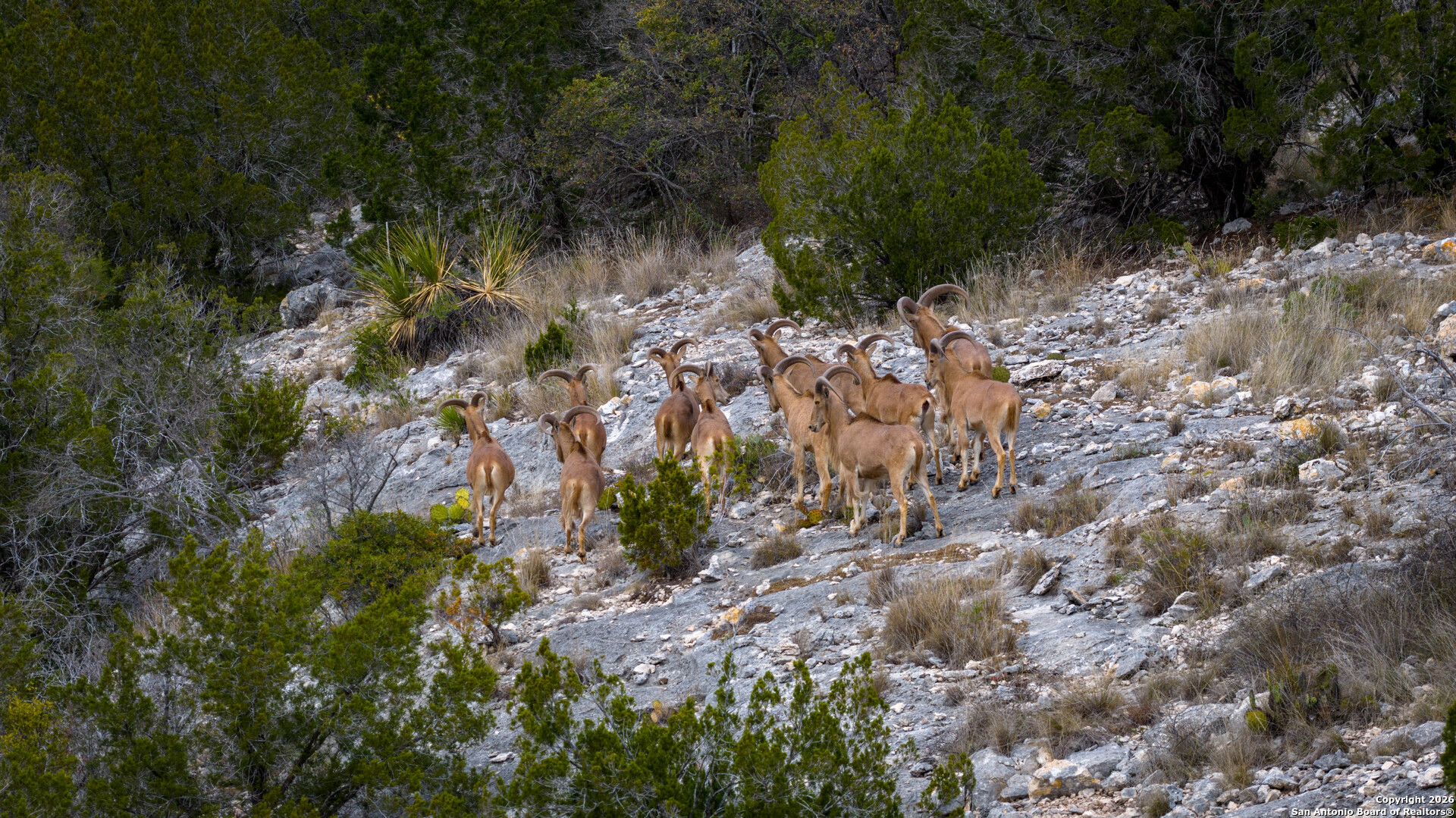 Tbd Us Highway 377 Del Rio TX 78840