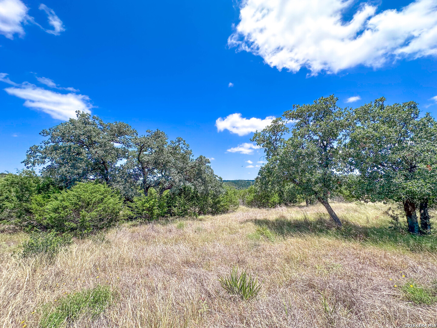 230 Adkins Drive Kerrville TX 78028