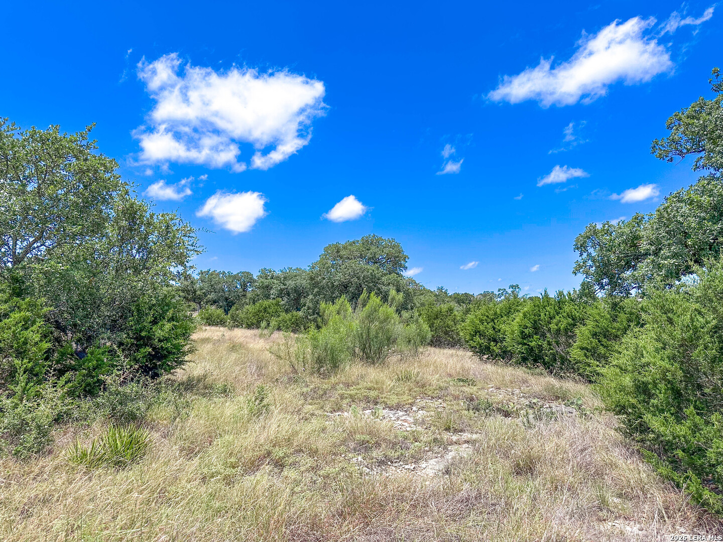 230 Adkins Drive Kerrville TX 78028