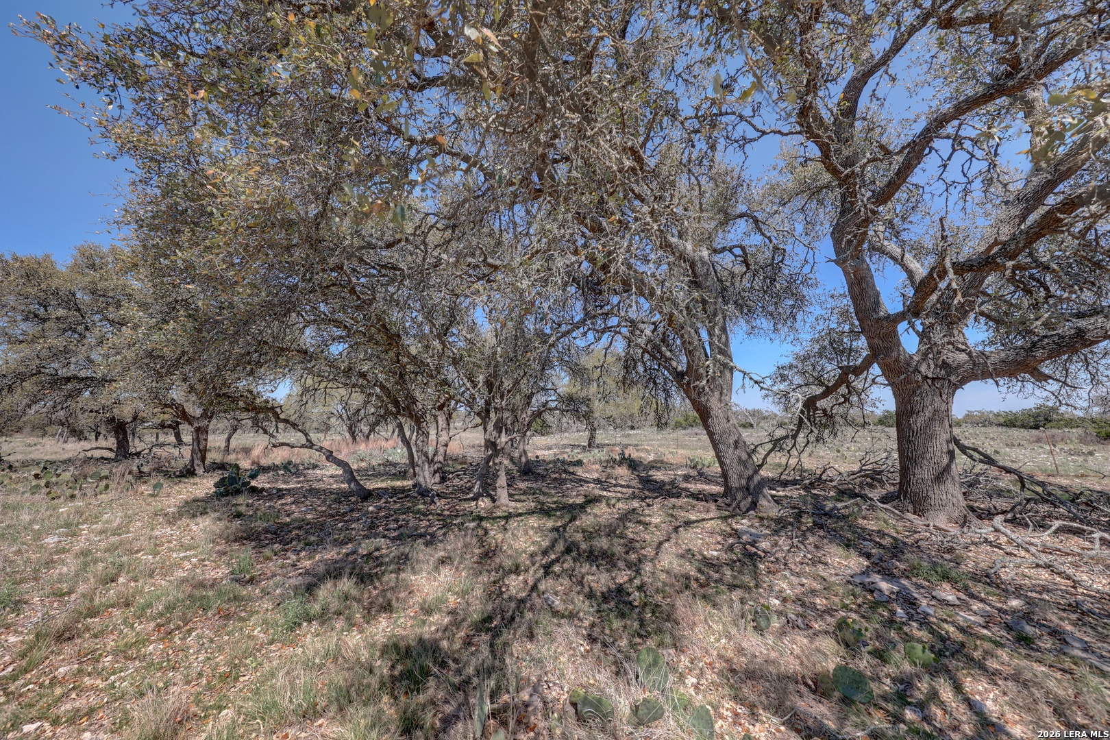 1443 Gina Harper TX 78631