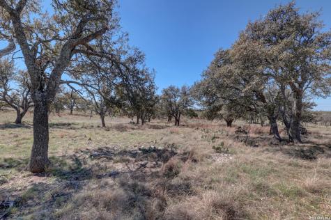 1443 Gina Harper TX 78631