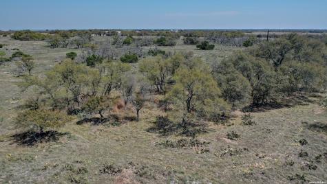 1443 Gina Harper TX 78631