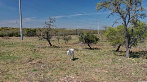 1443 Gina Harper TX 78631